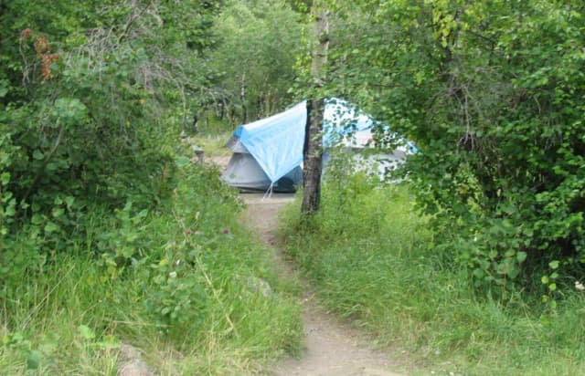 C Loop · Site 046 at Rocky Mountain National Park Aspenglen Campground