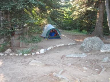 A Loop · Site C at Rocky Mountain National Park Aspenglen Campground