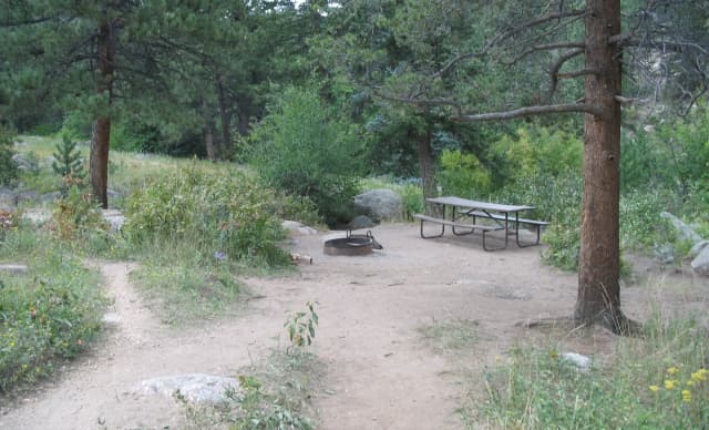 A Loop · Site D at Rocky Mountain National Park Aspenglen Campground