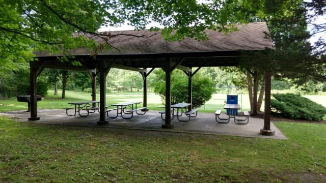 PINES SHELTER