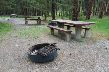 Site 5 -Table, fire ring