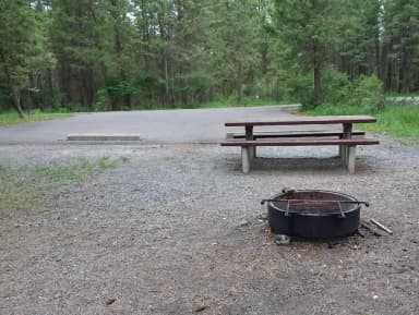 Site 6 - fire ring