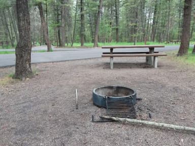 Fire Ring