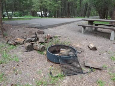 Site 40-fire ring
