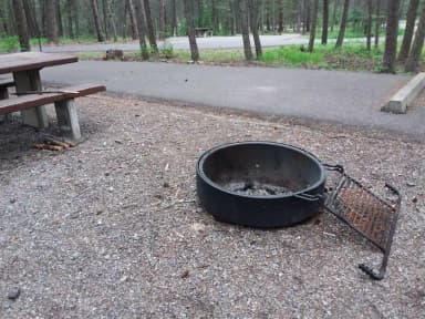 Site 50-fire ring