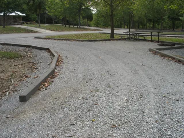 C008