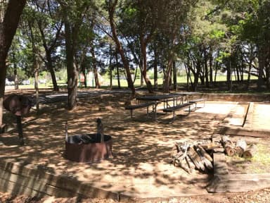 Picnic tables, grill, and fire ring