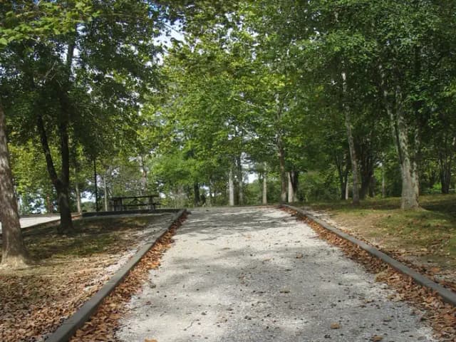 C024