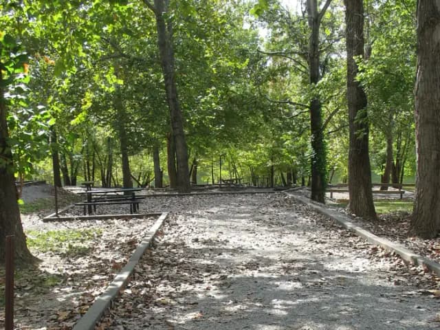 C033