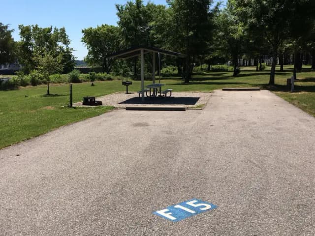 F 15