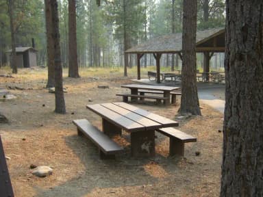 Loop GROU · Site G01 at Larry Creek Group Camp