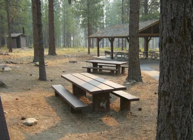 Loop GROU · Site G01 at Larry Creek Group Camp