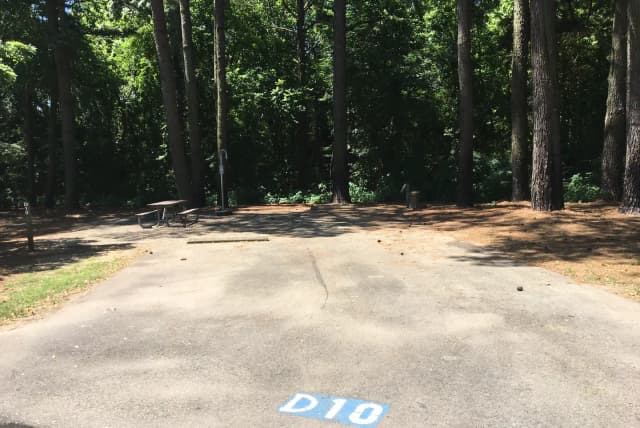 D10