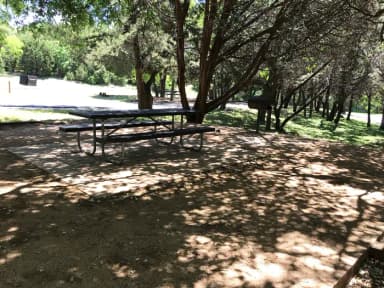 Picnic table and grill at site