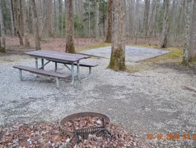 A side photo of Site A14 of Loop A-Loop at COSBY CAMPGROUND with Picnic Table, Fire Pit, Tent Pad
