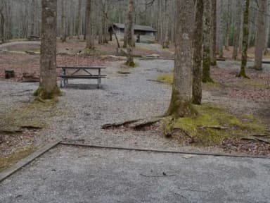 A close photo of Site A14 of Loop A-Loop at COSBY CAMPGROUND with Picnic Table, Fire Pit, Tent Pad