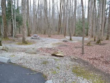 A-Loop · Site A16 at Cosby Campground