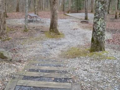 A-Loop · Site A16 at Cosby Campground