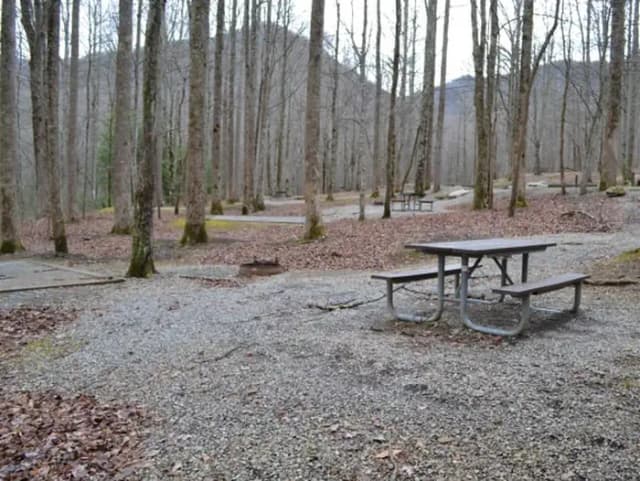 A-Loop · Site A16 at Cosby Campground