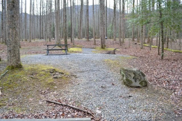 A photo of Site A18 of Loop A-Loop at COSBY CAMPGROUND street view winter
