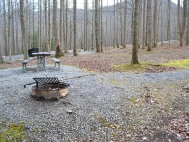 A-Loop · Site A18 at Cosby Campground