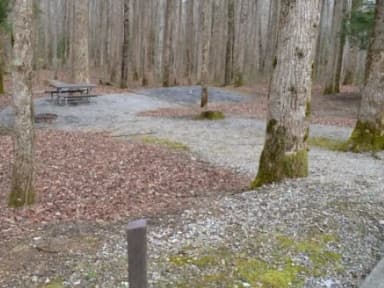 A-Loop · Site A19 at Cosby Campground
