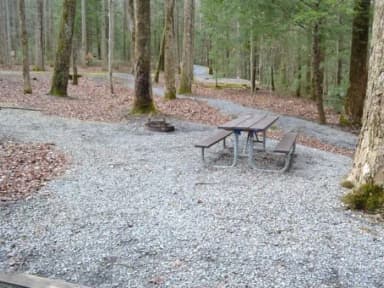 A-Loop · Site A19 at Cosby Campground