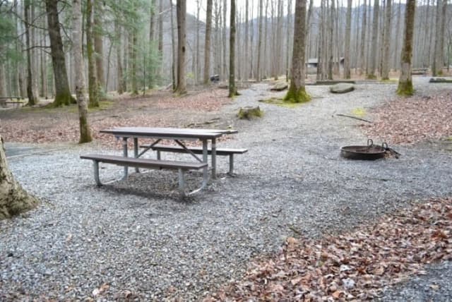 A-Loop · Site A19 at Cosby Campground