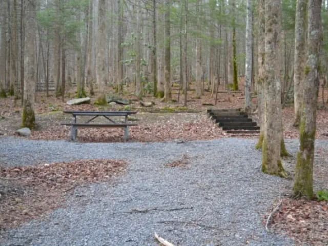 B-Loop · Site B73 at Cosby Campground
