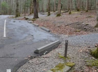 B-Loop · Site B73 at Cosby Campground