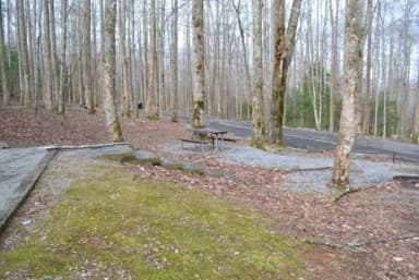An image the agency filed against 2 campsites at Cosby Campground
