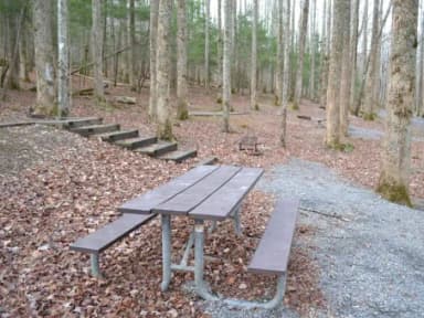 B-Loop · Site B73 at Cosby Campground