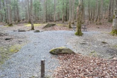 B-Loop · Site B74 at Cosby Campground