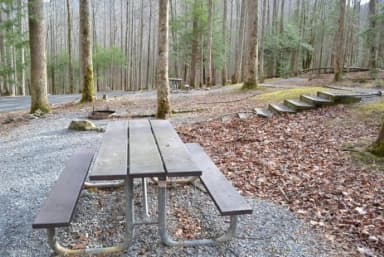 B-Loop · Site B74 at Cosby Campground