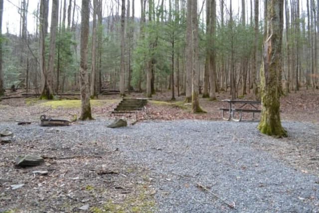 B-Loop · Site B74 at Cosby Campground