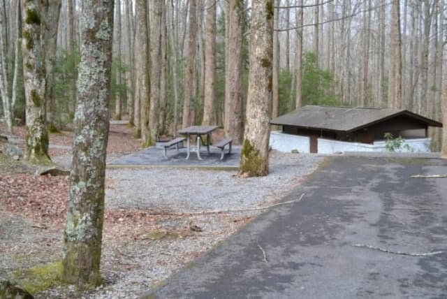 B-Loop · Site B75 at Cosby Campground