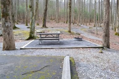 B-Loop · Site B75 at Cosby Campground