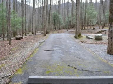 B-Loop · Site B75 at Cosby Campground