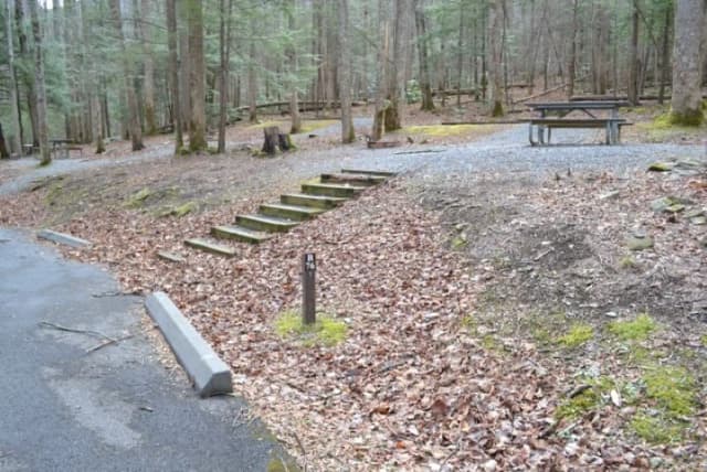 B-Loop · Site B76 at Cosby Campground
