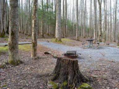 B-Loop · Site B76 at Cosby Campground