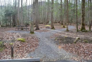 B-Loop · Site B77 at Cosby Campground