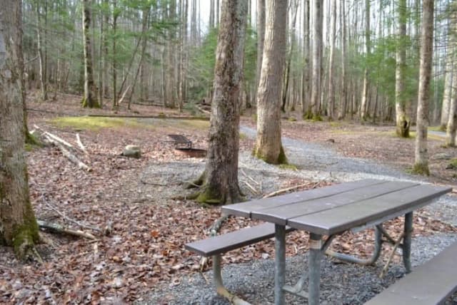 B-Loop · Site B77 at Cosby Campground
