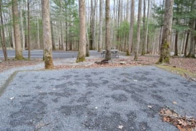 B-Loop · Site B77 at Cosby Campground