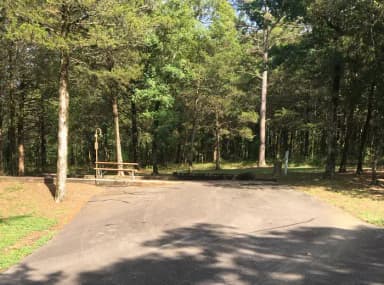 Site B03 at Piney Bay