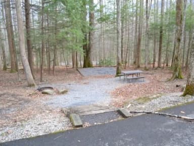 B-Loop · Site B78 at Cosby Campground