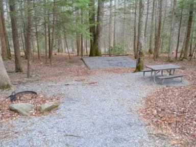 B-Loop · Site B78 at Cosby Campground