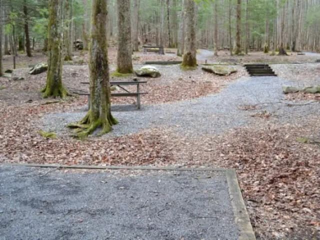 B-Loop · Site B78 at Cosby Campground