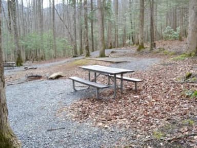 B-Loop · Site B79 at Cosby Campground