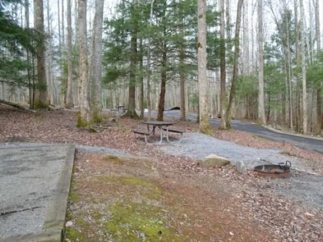 B-Loop · Site B79 at Cosby Campground