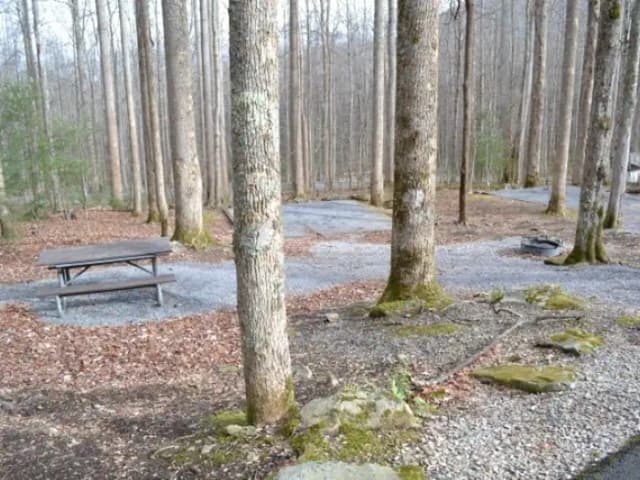 B-Loop · Site B80 at Cosby Campground